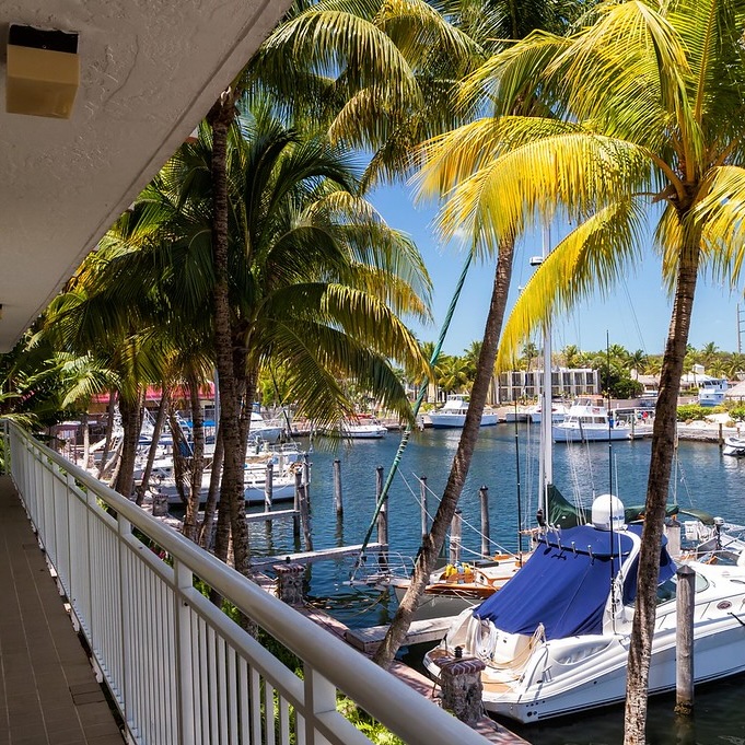 A marina with several docked boats is viewed from a balcony lined with palm trees under a clear blue sky.
