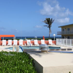 Hotel pool area with loungers and an ocean view, featuring a clear blue sky and palm trees.